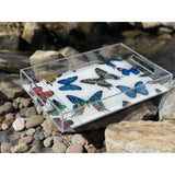 BUTTERFLY TRAY | MULTICOLOR