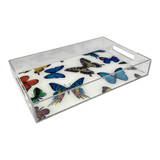 BUTTERFLY TRAY | MULTICOLOR