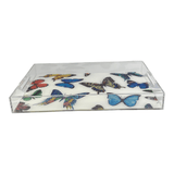 BUTTERFLY TRAY | MULTICOLOR