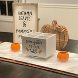 long charcuterie cheeseboard in white gold decorated on table for thanksgiving