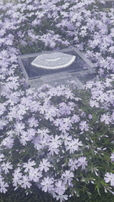 video of LOVE decor boxes next to flowers