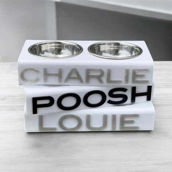 Personalized pet bowl with name in bold font.