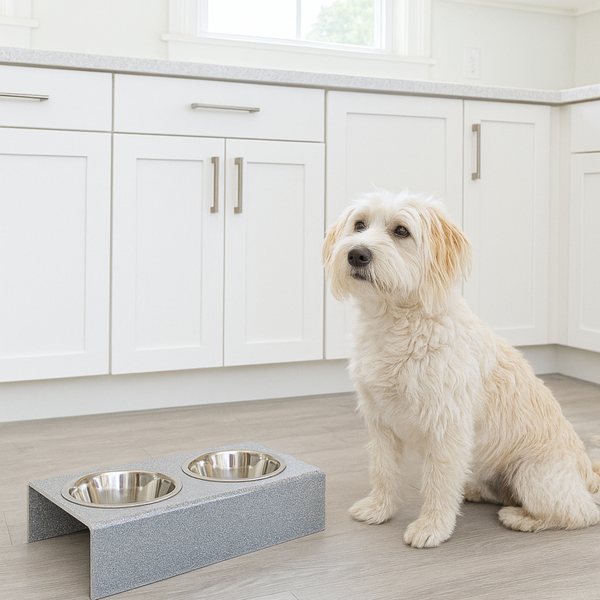 acrylic silver sparkle pet bowl next to a dog bowl with two metal bowls in a kitchen.